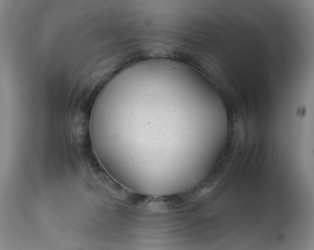 X0000113210228200910011328