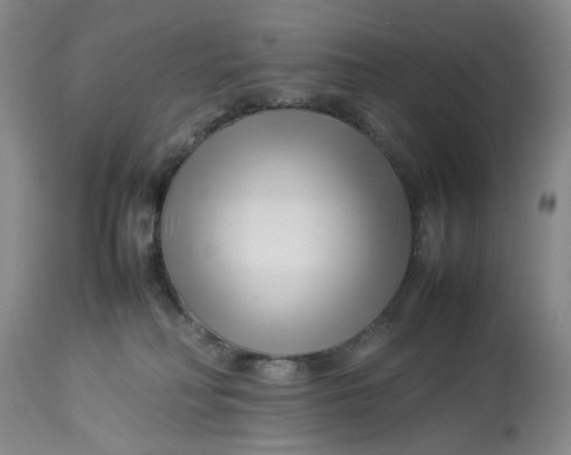 X0000113210230200910011328