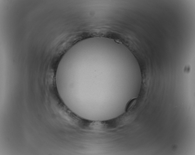 X0000113210231200910011328