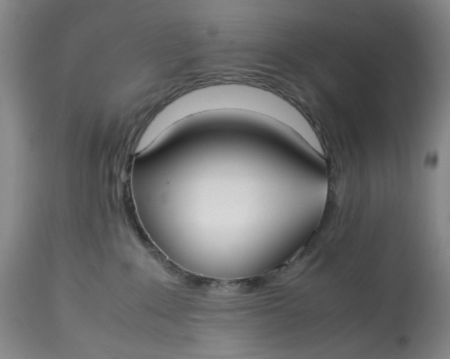 X0000113210235200910011328