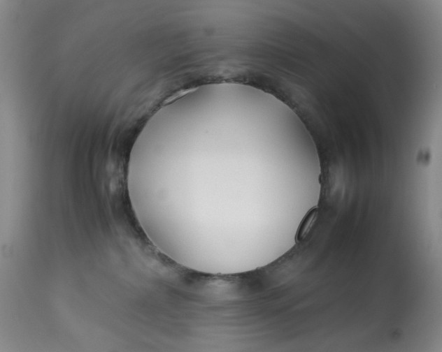 X0000113210236200910011328