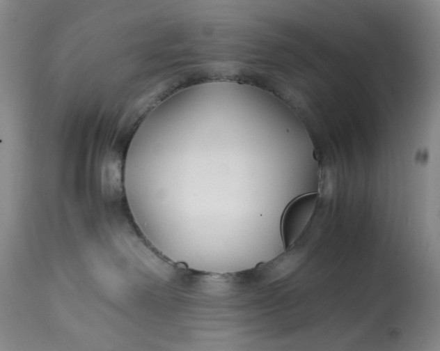 X0000113210238200910011328