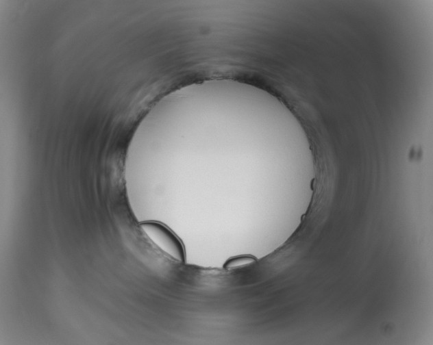 X0000113210240200910011328