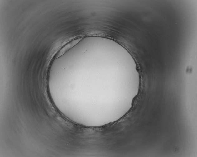 X0000113210241200910011327