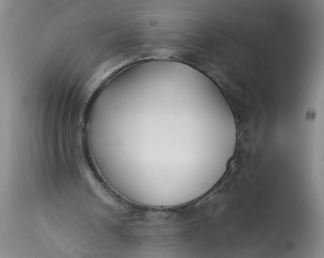 X0000113210242200910011327