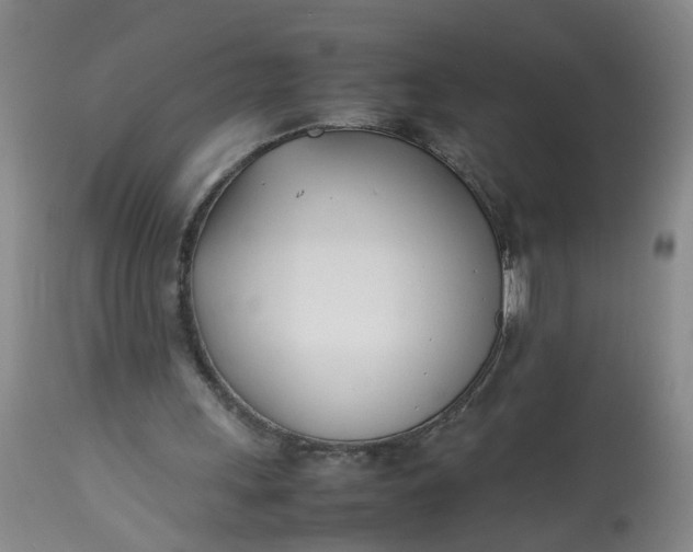 X0000113210243200910011327