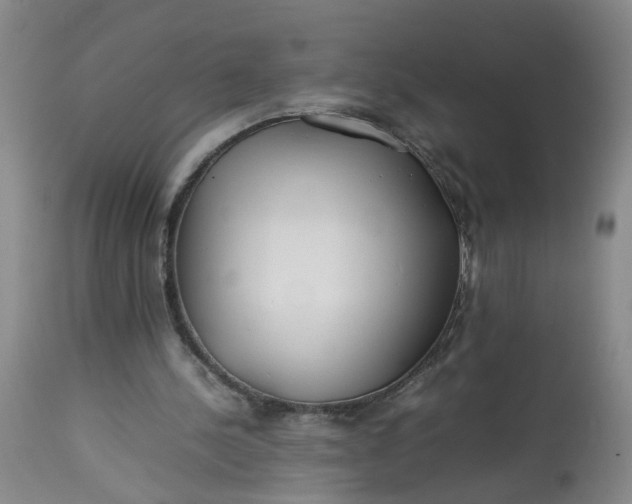 X0000113210244200910011327