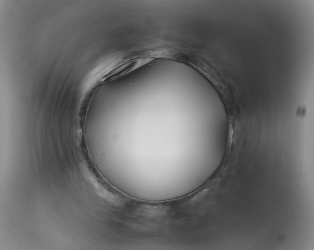 X0000113210245200910011327