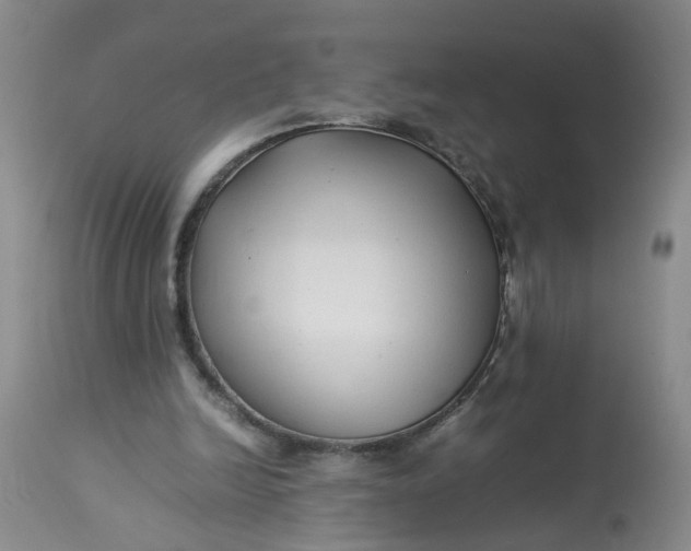 X0000113210246200910011327