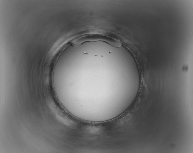 X0000113210247200910011327