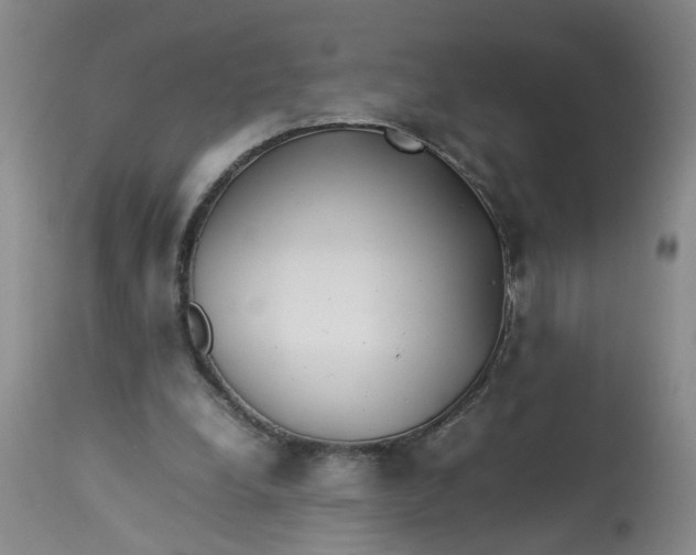 X0000113210248200910011327