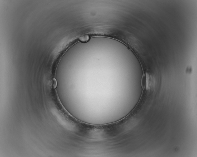 X0000113210252200910011327