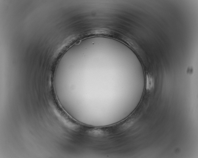 X0000113210253200910011327