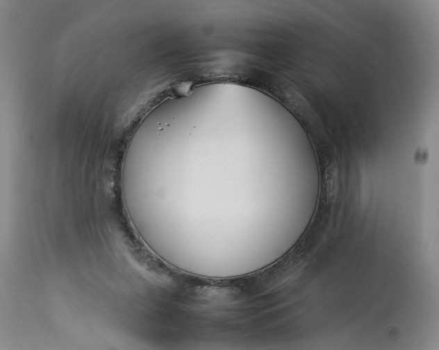 X0000113210255200910011327