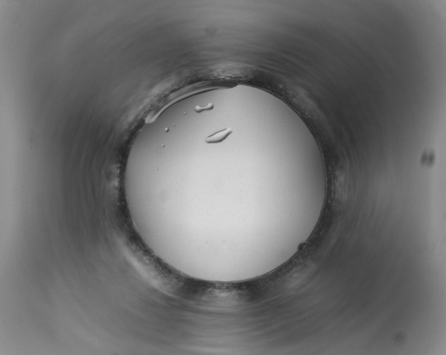 X0000113210260200910011327