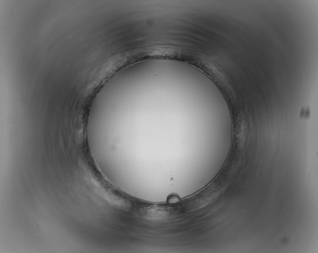 X0000113210261200910011327