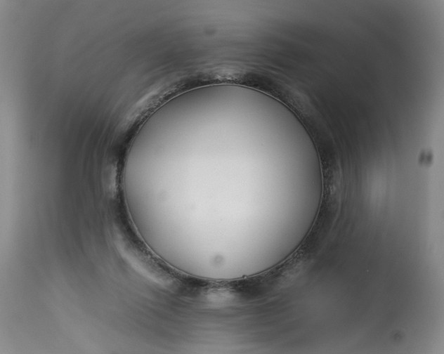 X0000113210262200910011327