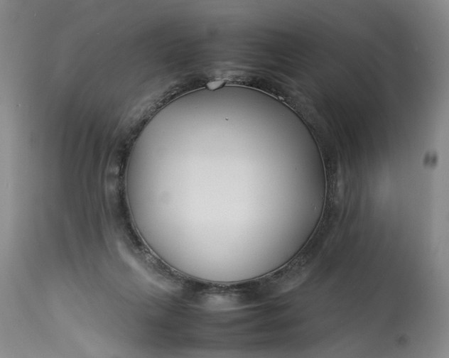 X0000113210263200910011327