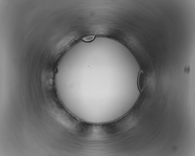 X0000113210264200910011327