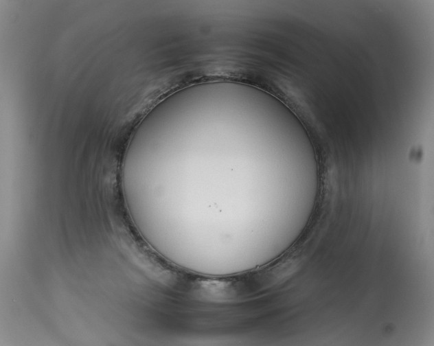 X0000113210265200910011327