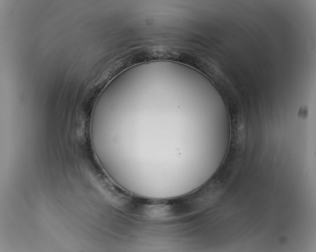 X0000113210266200910011327