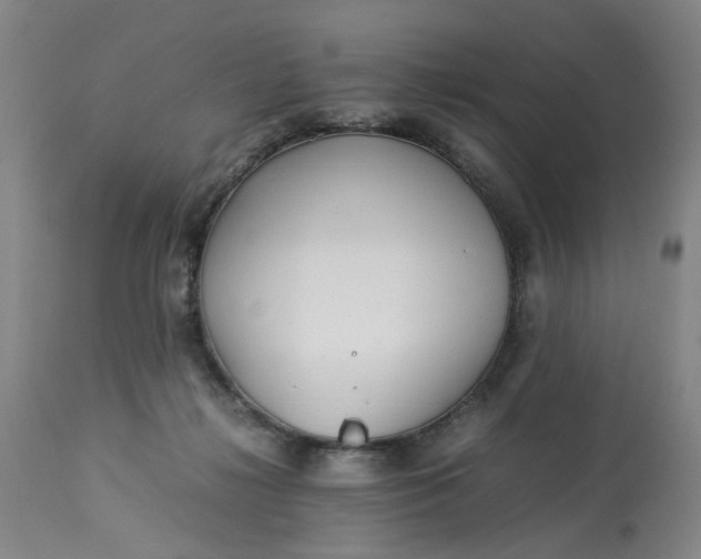 X0000113210268200910011327