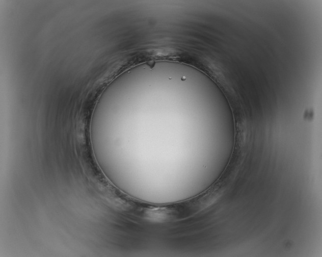 X0000113210269200910011327