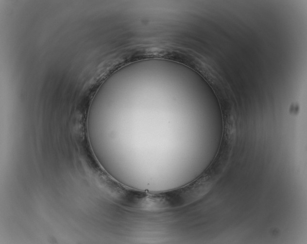 X0000113210270200910011327