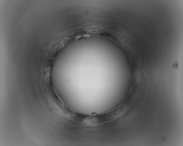 X0000113210271200910011327