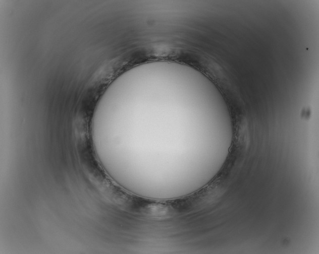 X0000113210272200910011327