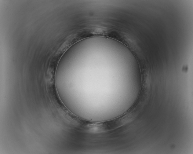 X0000113210273200910011327