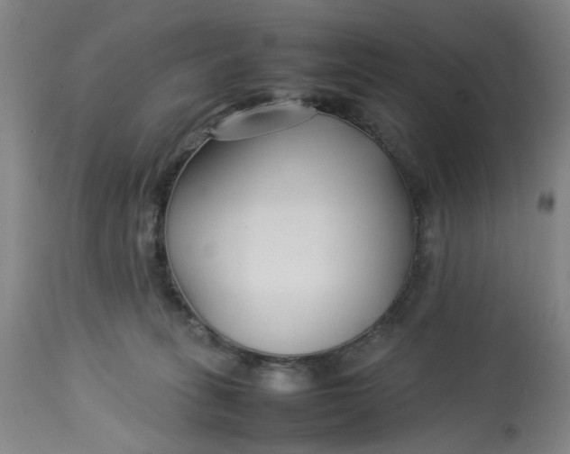 X0000113210275200910011327