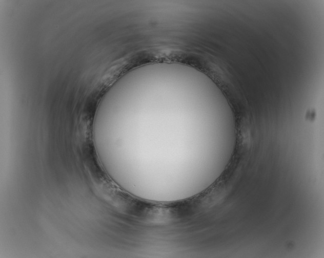 X0000113210276200910011327