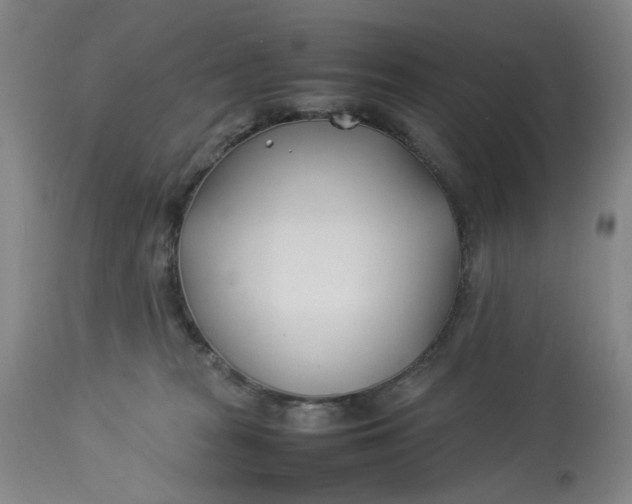 X0000113210277200910011327