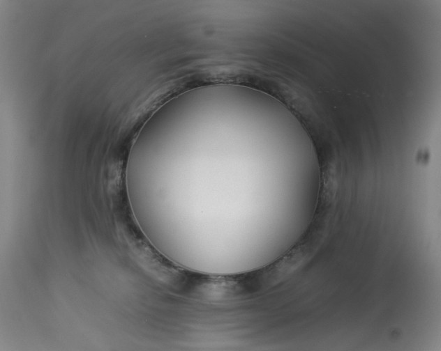 X0000113210278200910011327