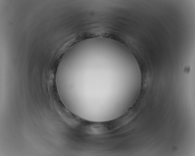 X0000113210279200910011327