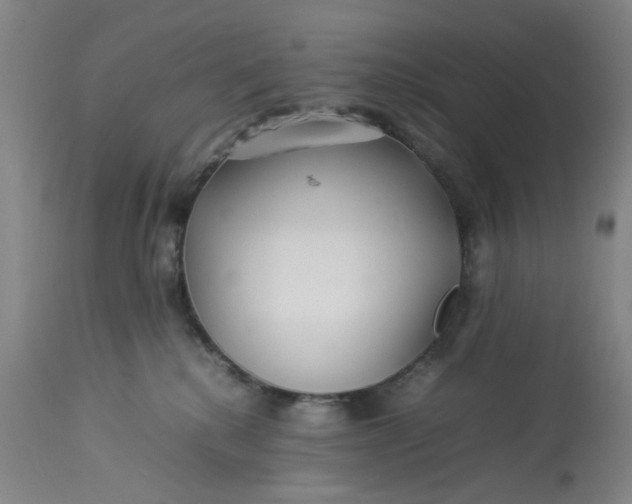 X0000113210280200910011327