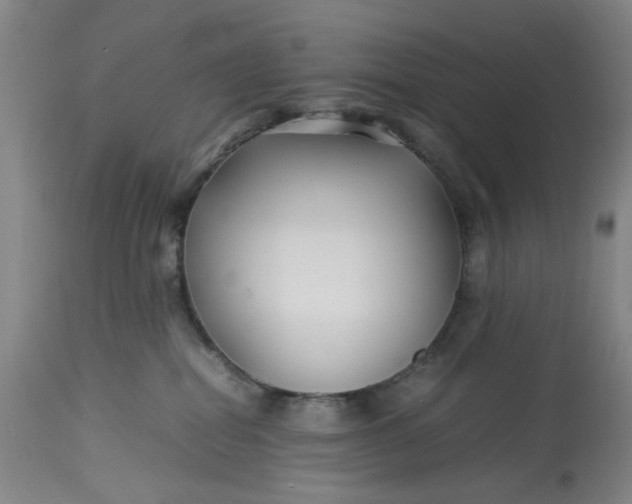 X0000113210282200910011327