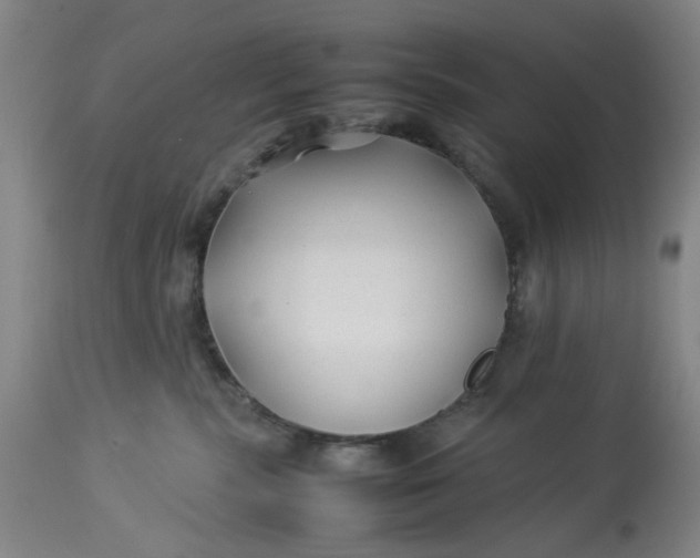 X0000113210283200910011327