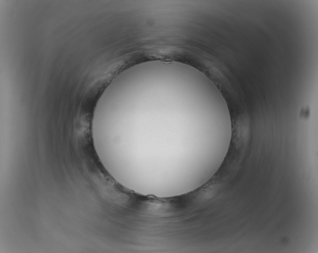 X0000113210284200910011327