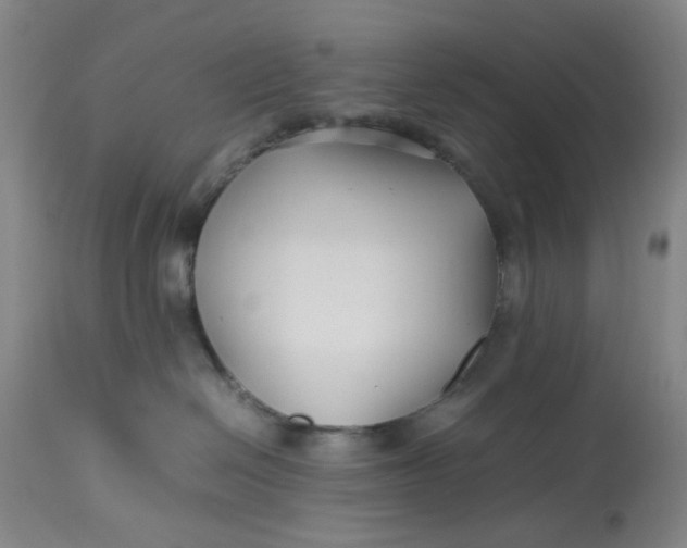 X0000113210286200910011327