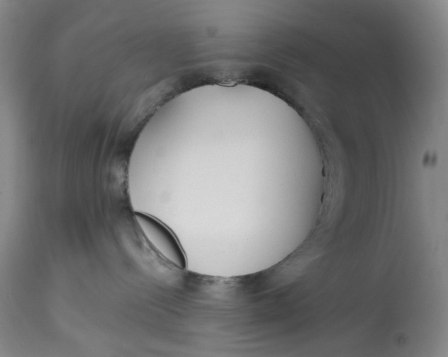 X0000113210288200910011328