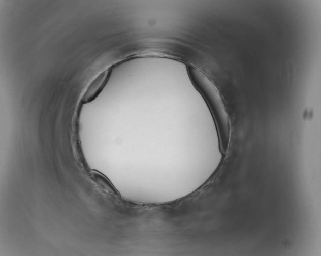 X0000113210289200910011327