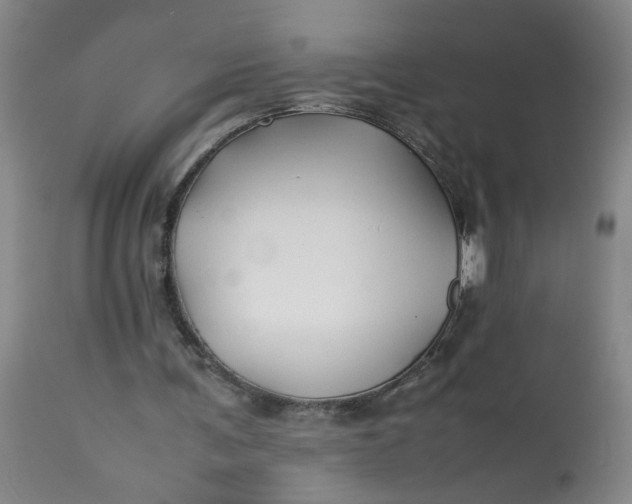 X0000113210291200910011327