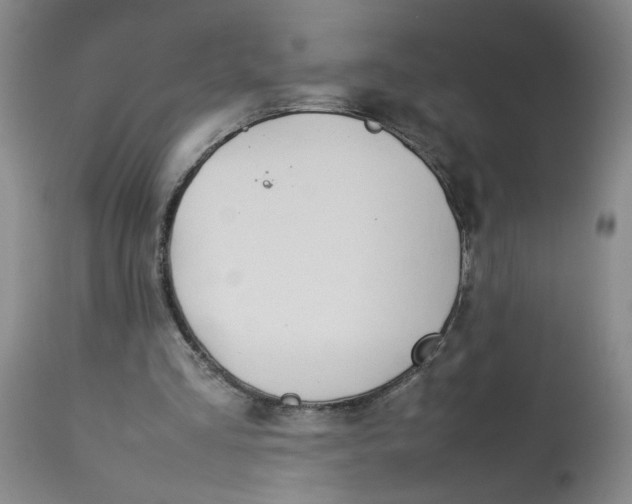 X0000113210293200910011327