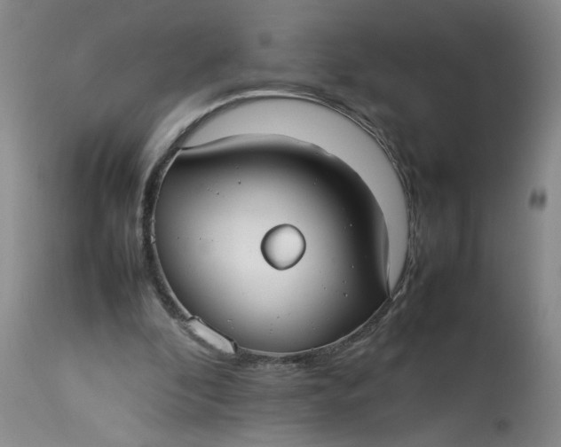 X0000113210296200910011327