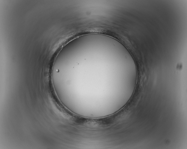 X0000113210299200910011327