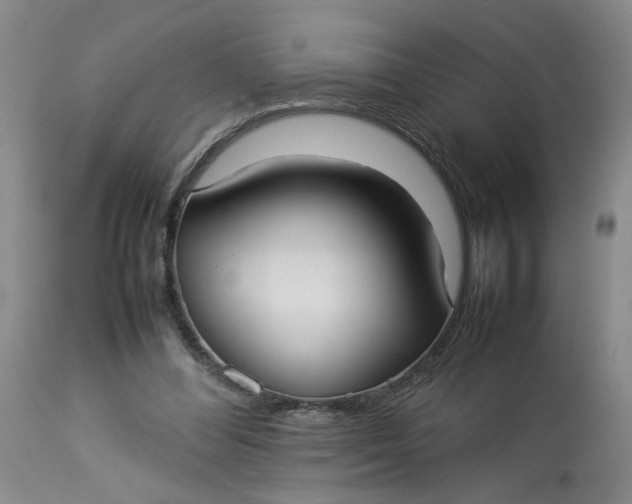 X0000113210300200910011327