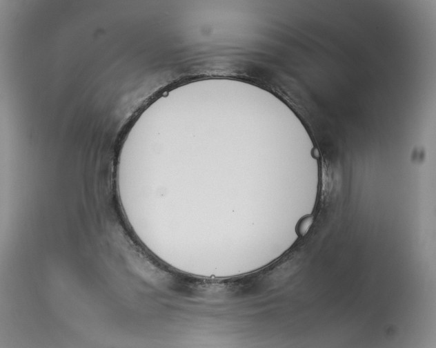 X0000113210301200910011327