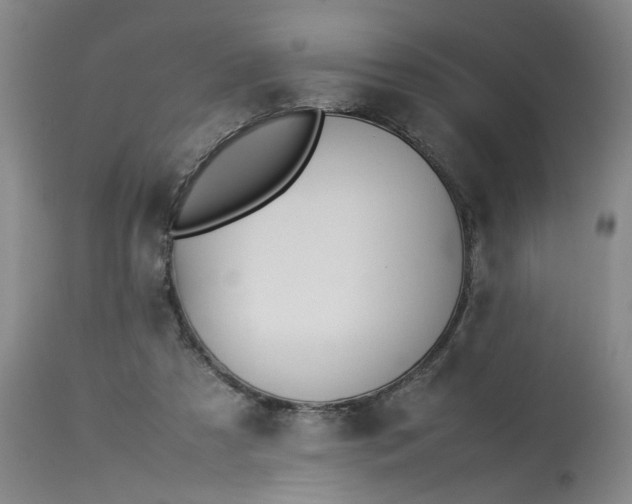 X0000113210305200910011327